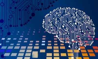 豪州がAI“社会的ライセンス”を問う—アルバニージー首相のAI方針演説で見える著作権・データセンター規制の行方とは？
