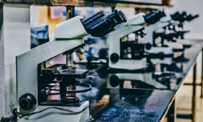 IEEEが研究不正検出を強化—STM Integrity Hub導入の衝撃と日本の学術・企業研究コンプライアンスが変わる