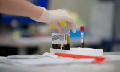 中学生にも分かる 自分の資料に答えるAI検索アプリの作り方 #5