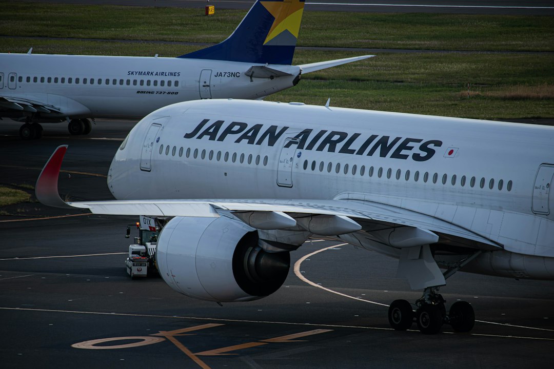 日本の独占禁止法ガイドラインとアルゴリズム共謀の適用可能性を示すイメージ